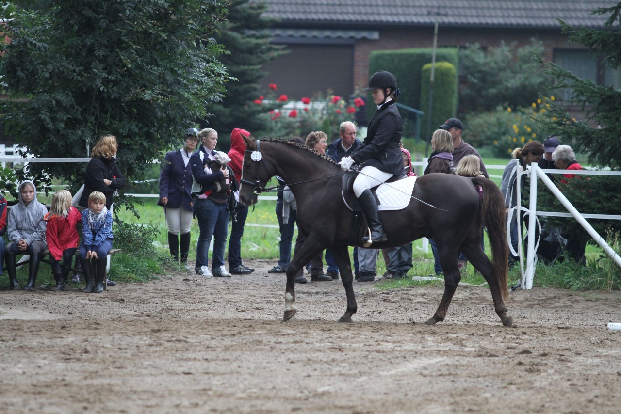 Bild 462 - WBO-Turnier am 18.9.11